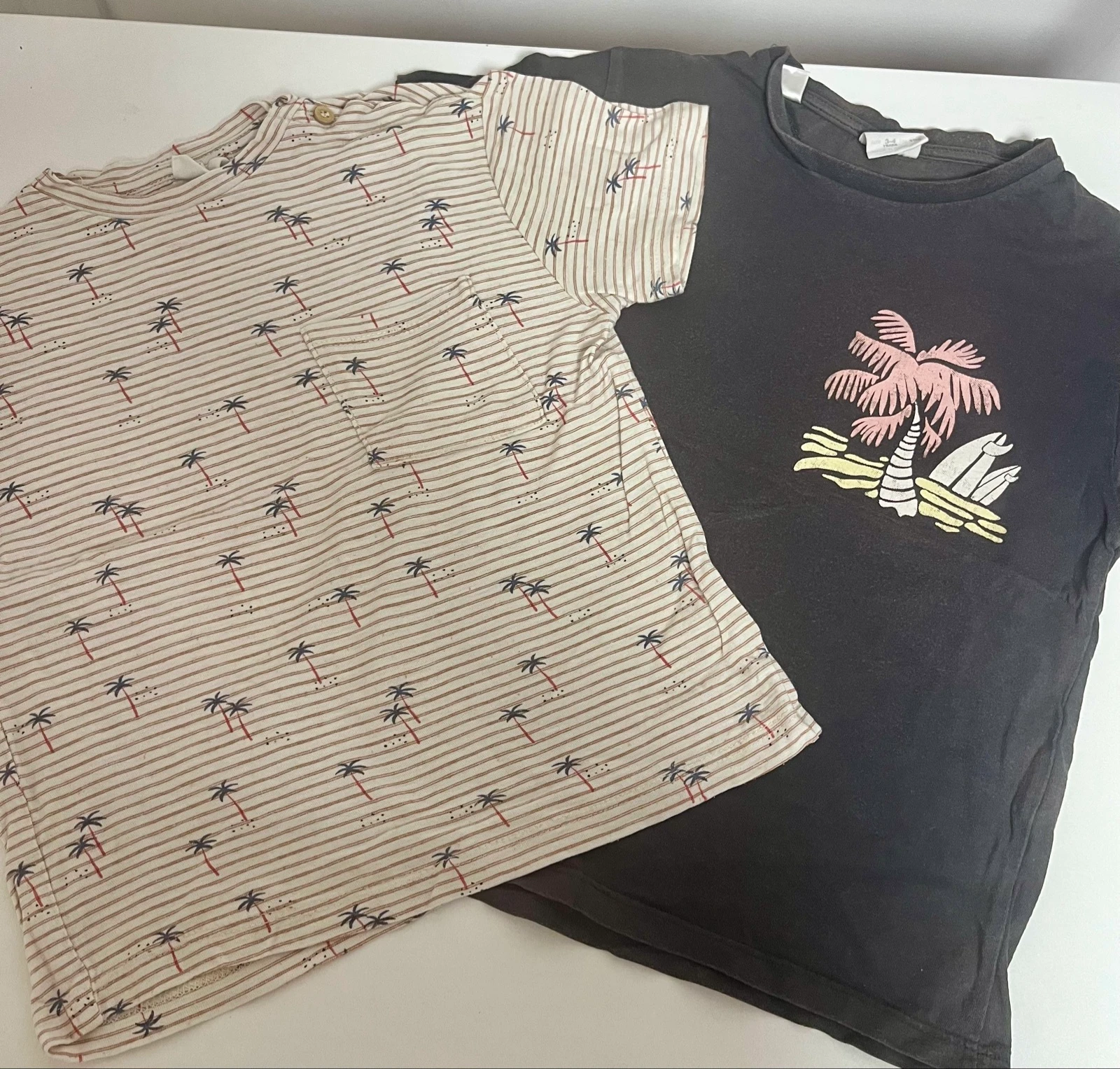 Lot de 2 tee shirt garçon 
